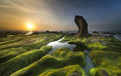 Вводные слова в шведском языке